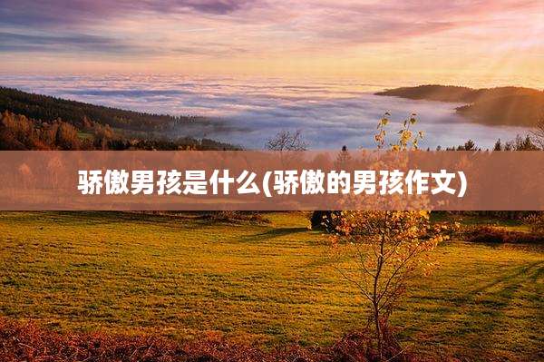 骄傲男孩是什么(骄傲的男孩作文)