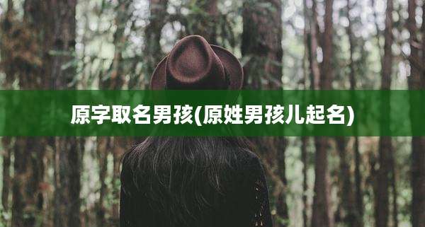 原字取名男孩(原姓男孩儿起名)