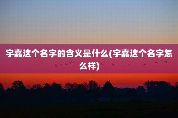 宇嘉这个名字的含义是什么(宇嘉这个名字怎么样)