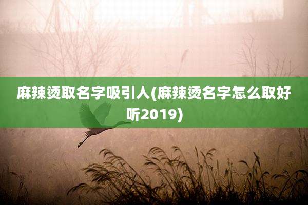 麻辣烫取名字吸引人(麻辣烫名字怎么取好听2019)