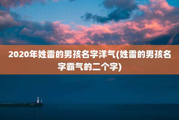 2020年姓雷的男孩名字洋气(姓雷的男孩名字霸气的二个字)