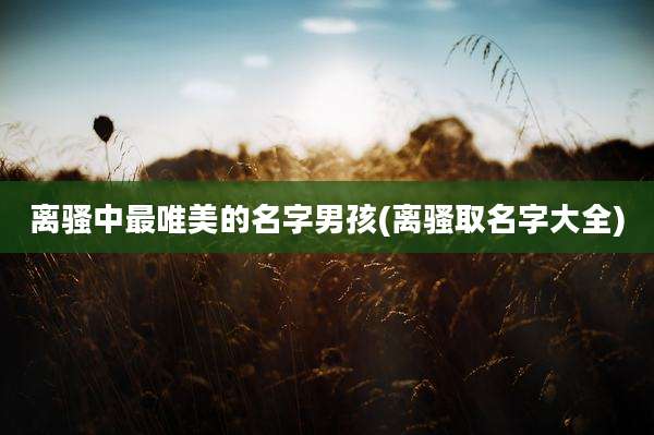 离骚中最唯美的名字男孩(离骚取名字大全)