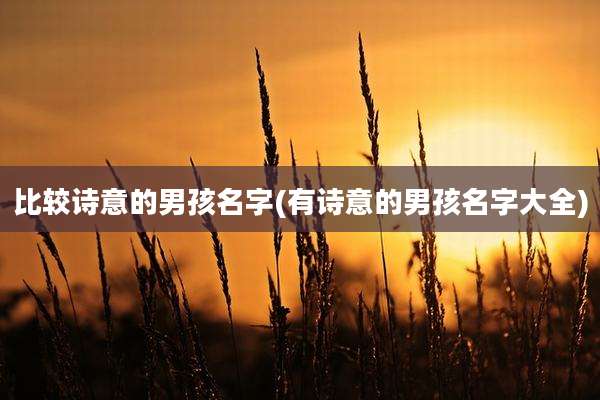 比较诗意的男孩名字(有诗意的男孩名字大全)