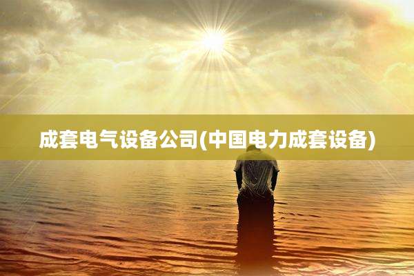 成套电气设备公司(中国电力成套设备)