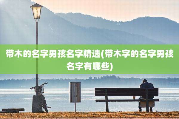 带木的名字男孩名字精选(带木字的名字男孩名字有哪些)