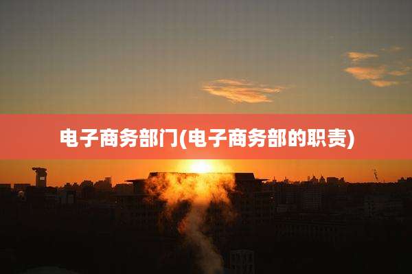 电子商务部门(电子商务部的职责)