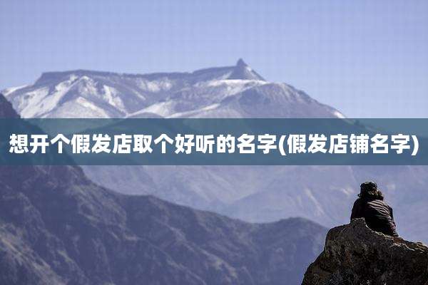 想开个假发店取个好听的名字(假发店铺名字)