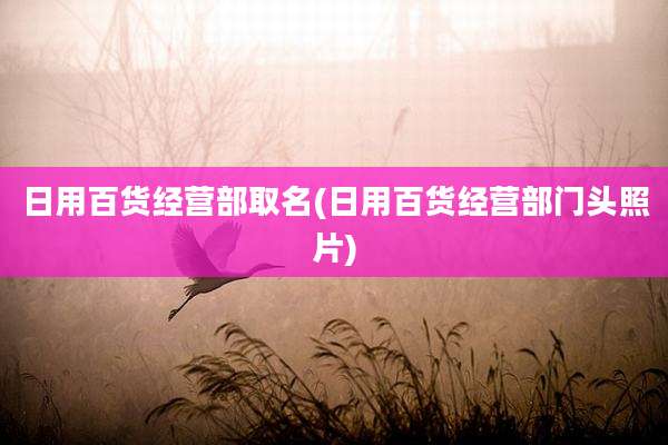 日用百货经营部取名(日用百货经营部门头照片)