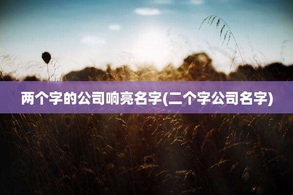 两个字的公司响亮名字(二个字公司名字)