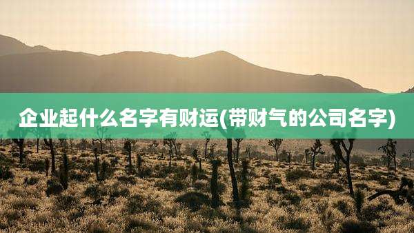 企业起什么名字有财运(带财气的公司名字)