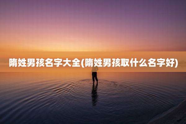 隋姓男孩名字大全(隋姓男孩取什么名字好)