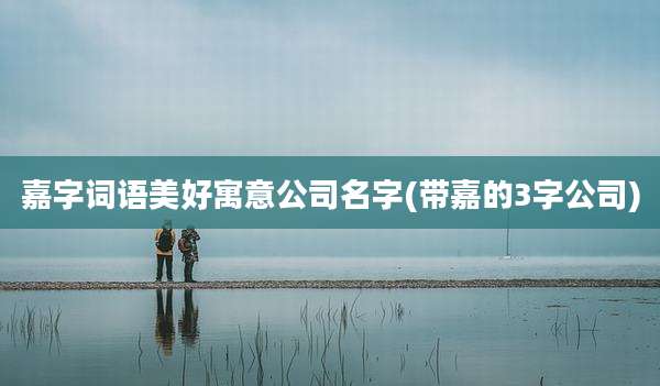 嘉字词语美好寓意公司名字(带嘉的3字公司)