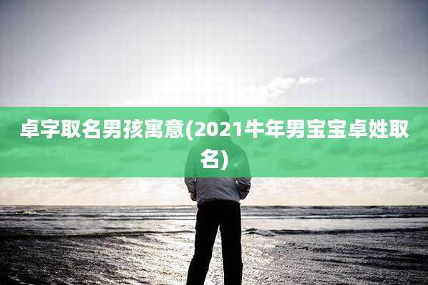 卓字取名男孩寓意(2021牛年男宝宝卓姓取名)
