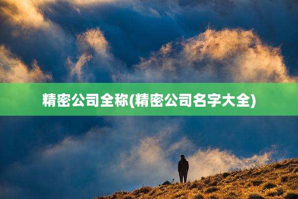 精密公司全称(精密公司名字大全)