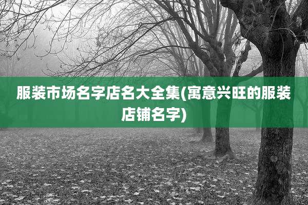 服装市场名字店名大全集(寓意兴旺的服装店铺名字)