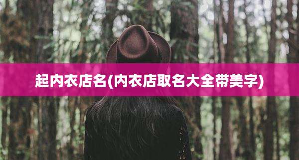 起内衣店名(内衣店取名大全带美字)
