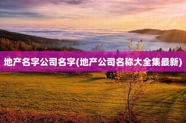 地产名字公司名字(地产公司名称大全集最新)
