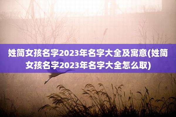 姓简女孩名字2023年名字大全及寓意(姓简女孩名字2023年名字大全怎么取)