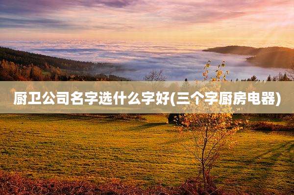 厨卫公司名字选什么字好(三个字厨房电器)