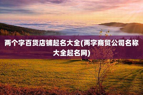 两个字百货店铺起名大全(两字商贸公司名称大全起名网)