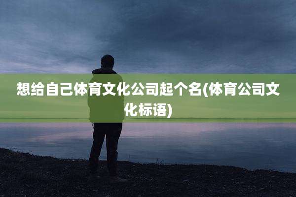 想给自己体育文化公司起个名(体育公司文化标语)