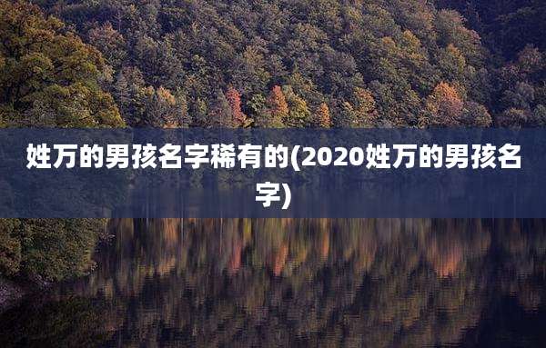 姓万的男孩名字稀有的(2020姓万的男孩名字)