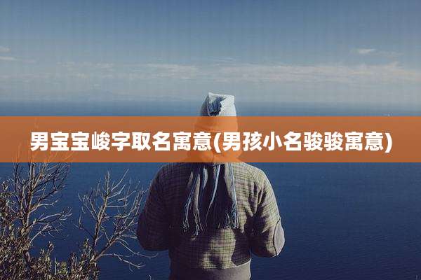 男宝宝峻字取名寓意(男孩小名骏骏寓意)