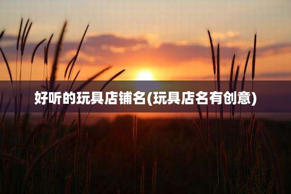 好听的玩具店铺名(玩具店名有创意)
