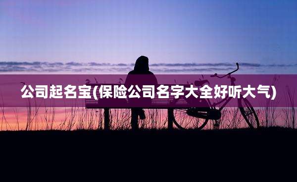 公司起名宝(保险公司名字大全好听大气)