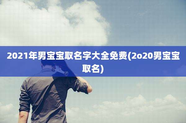 2021年男宝宝取名字大全免费(2o20男宝宝取名)