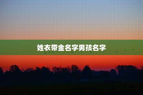 姓衣带金名字男孩名字