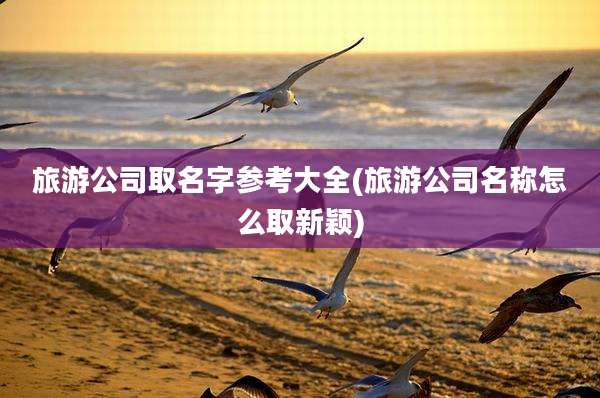 旅游公司取名字参考大全(旅游公司名称怎么取新颖)