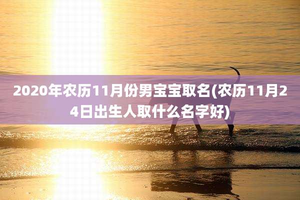 2020年农历11月份男宝宝取名(农历11月24日出生人取什么名字好)
