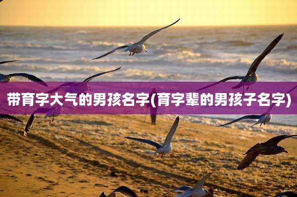 带育字大气的男孩名字(育字辈的男孩子名字)