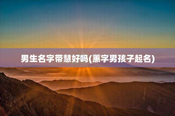 男生名字带慧好吗(蕙字男孩子起名)