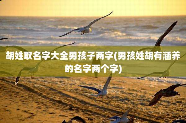 胡姓取名字大全男孩子两字(男孩姓胡有涵养的名字两个字)