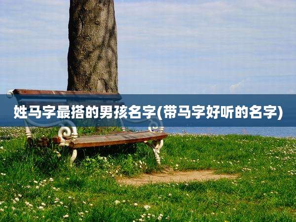 姓马字最搭的男孩名字(带马字好听的名字)