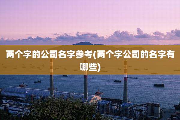 两个字的公司名字参考(两个字公司的名字有哪些)
