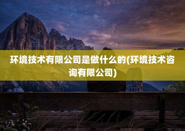 环境技术有限公司是做什么的(环境技术咨询有限公司)