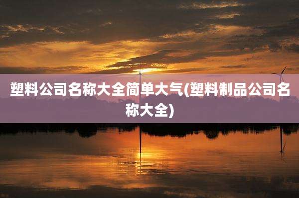 塑料公司名称大全简单大气(塑料制品公司名称大全)