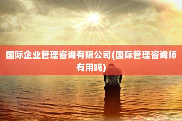 国际企业管理咨询有限公司(国际管理咨询师有用吗)