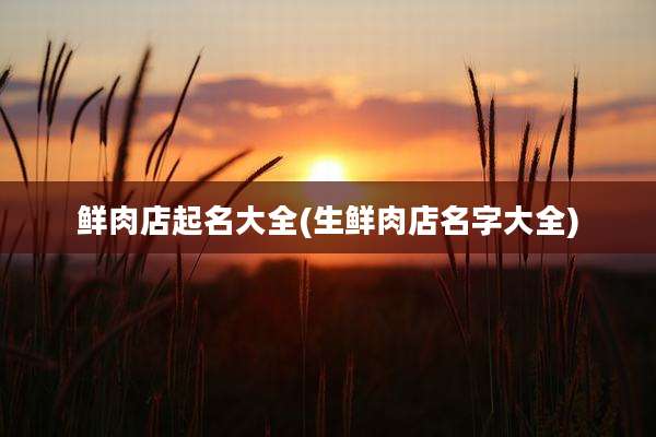 鲜肉店起名大全(生鲜肉店名字大全)