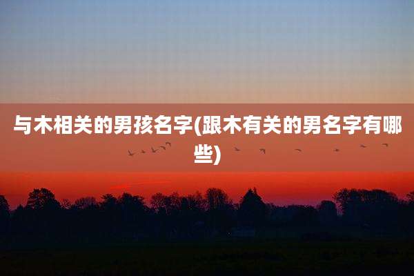 与木相关的男孩名字(跟木有关的男名字有哪些)