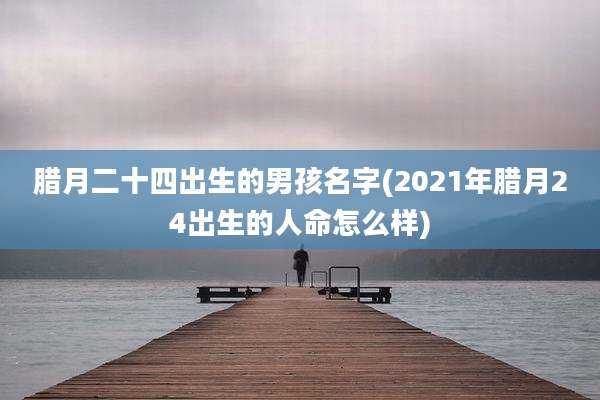 腊月二十四出生的男孩名字(2021年腊月24出生的人命怎么样)
