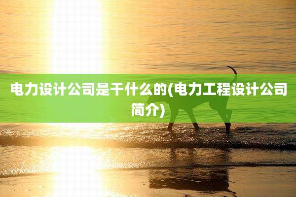 电力设计公司是干什么的(电力工程设计公司简介)