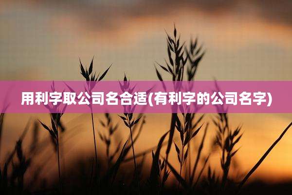 用利字取公司名合适(有利字的公司名字)
