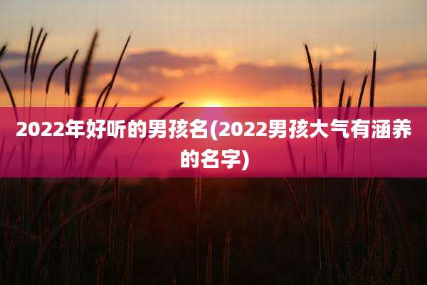 2022年好听的男孩名(2022男孩大气有涵养的名字)