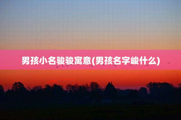 男孩小名骏骏寓意(男孩名字峻什么)