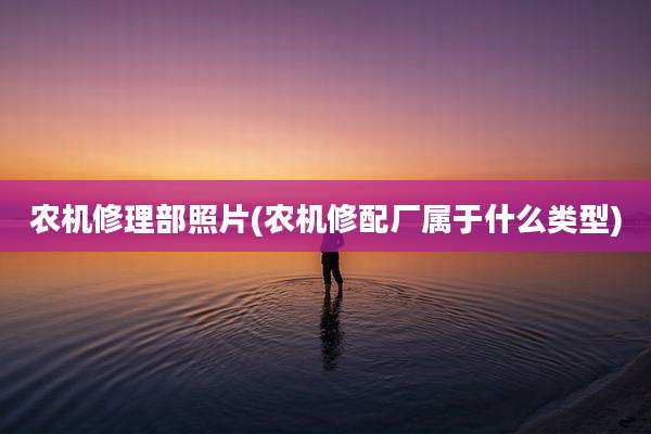 农机修理部照片(农机修配厂属于什么类型)