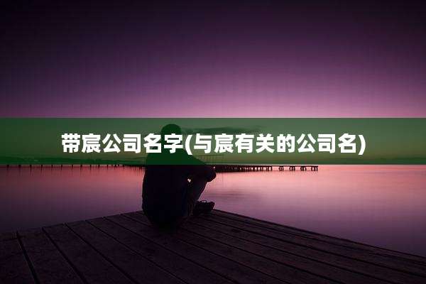 带宸公司名字(与宸有关的公司名)